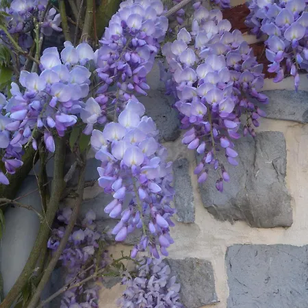 Guest house La Parenthese Avesnoise